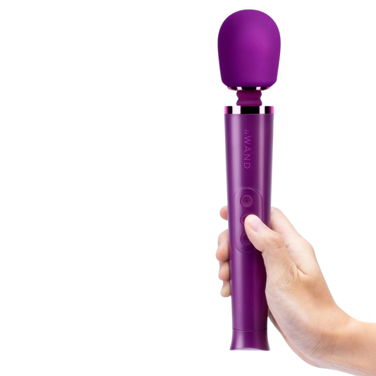Le Wand Petite Rechargeable Silicone Vibrating Massager