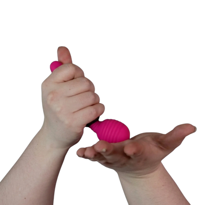 PalmPower Groove Mini Quiet Wand