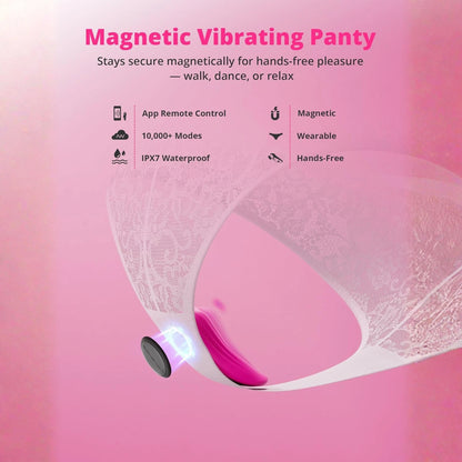 Lovense Ferri App Compatible Silicone Panty Vibe